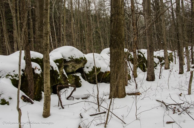 stone wall at Crawford Lake Conservation Area