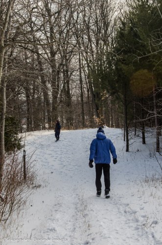 hiking at Crawford Lake Conservation Area