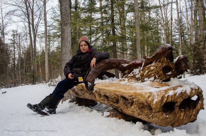 Hide and Seek trail at Crawford Lake Conservation Area