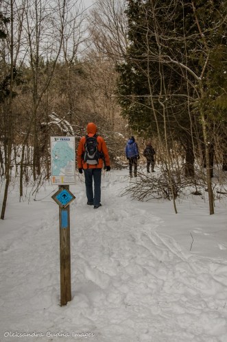 hiking at Crawford Lake Conservation Area