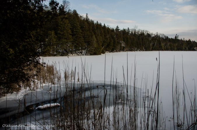 Crawford Lake