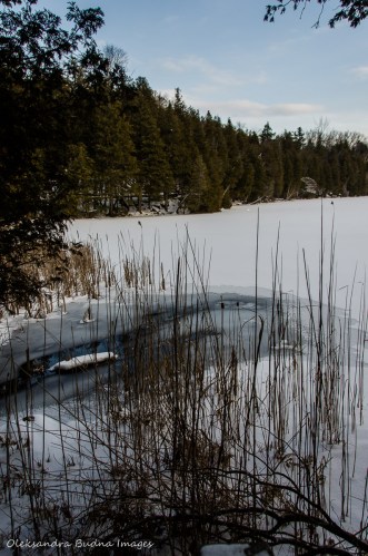 Crawford Lake