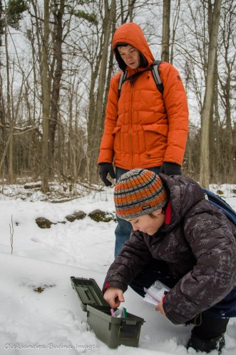 geocaching at Crawford Lake Conservation Area