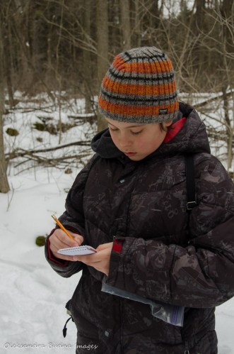geocaching at Crawford Lake Conservation Area