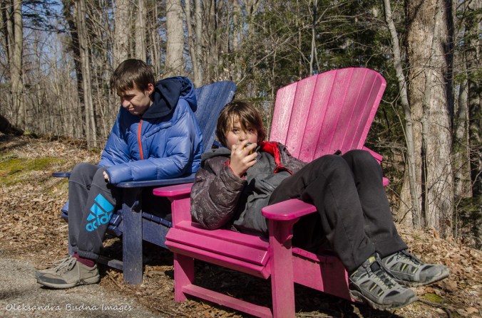 kids in muskoka chairs at Kortright Centre for Conservation