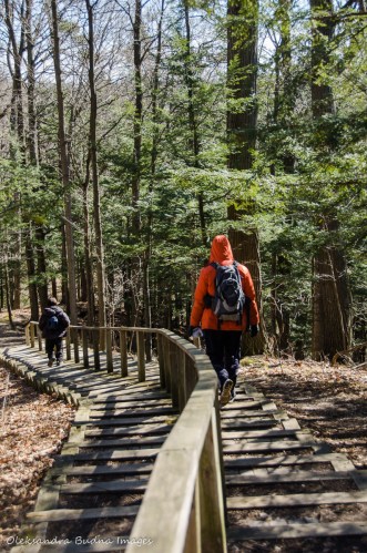 hiking at Kortright Centre for Conservation