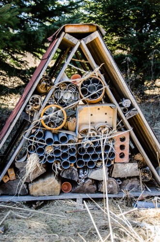 bee hotel at Kortright Centre for Conservation