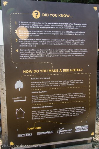 information panel about bee hotels at Kortright Centre for Conservation