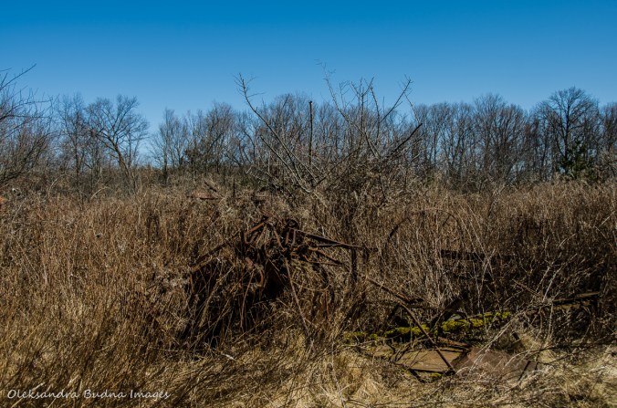 Kortright Centre for Conservation