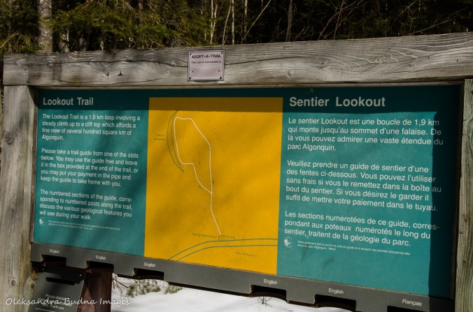 Loukout Trail map in algonquin 