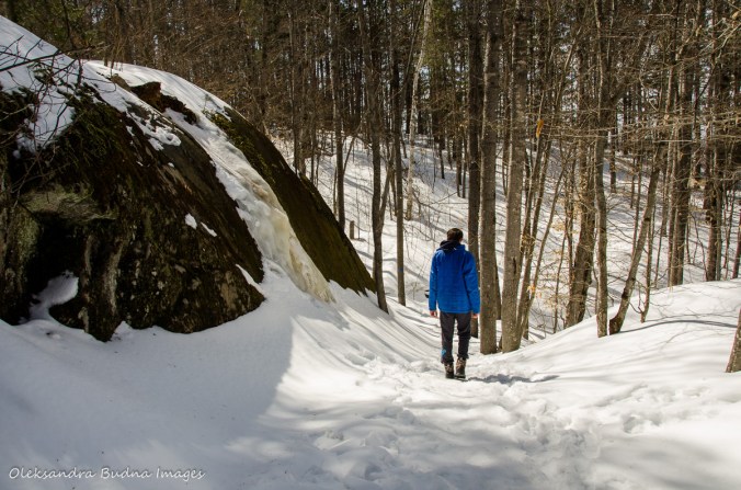 hiking Lookout trail in Algonquin in the winter