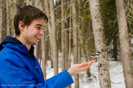 chickadees in a hand