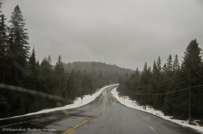 Highway 60 in Algonquin in the winter