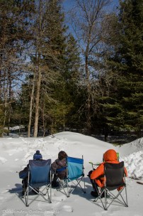 watching blue jays in Algonquin