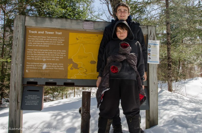 near the Track and Tower trail sign in algonquin