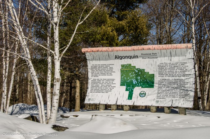 Algoquin Park sign at the entrance