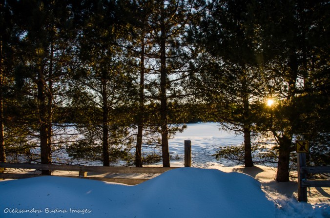 Mew Lake at Algonquin in the winter