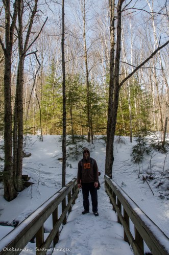 hiking the Track and Tower trail in algonquin in the winter