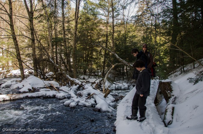 hiking the Track and Tower trail in algonquin in the winter