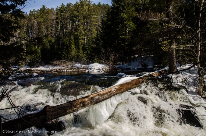 Madawaska River in Algonquin in the winter