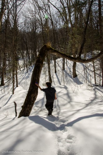 hiking the Track and Tower trail in algonquin in the winter
