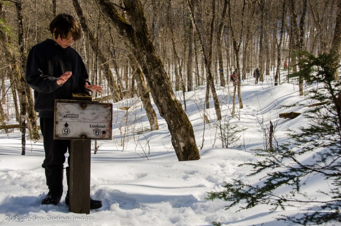 hiking the Track and Tower trail in algonquin in the winter