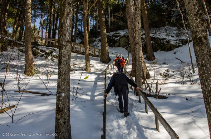 hiking the Track and Tower trail in algonquin in the winter