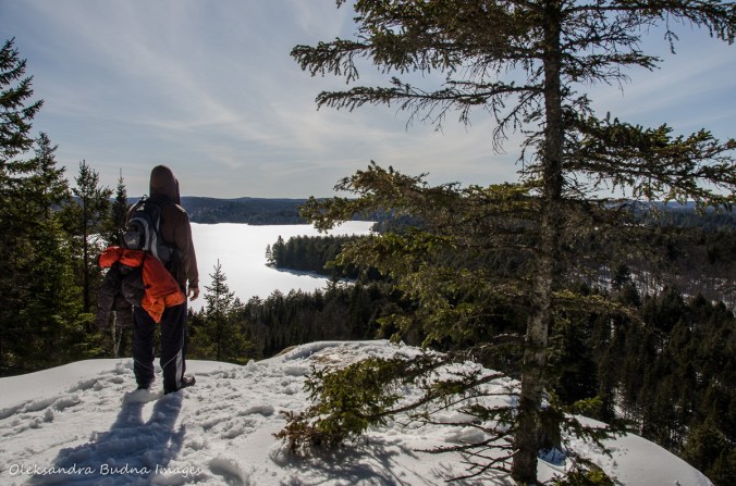 track and Tower trail lookout in the winter