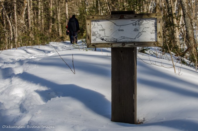 hiking the Track and Tower trail in algonquin in the winter