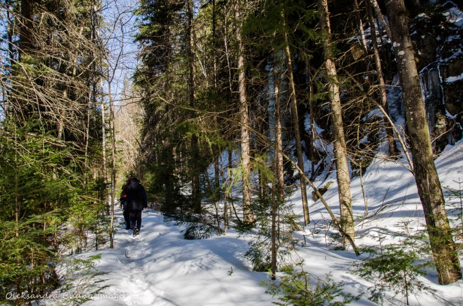 hiking the Track and Tower trail in algonquin in the winter