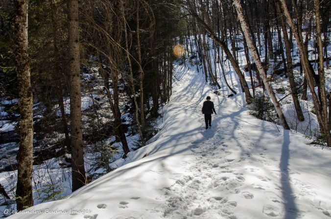 hiking the Track and Tower trail in algonquin in the winter