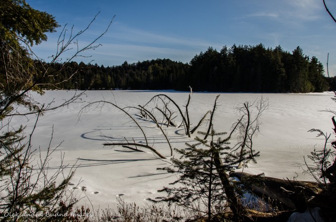 hiking the Track and Tower trail in algonquin in the winter