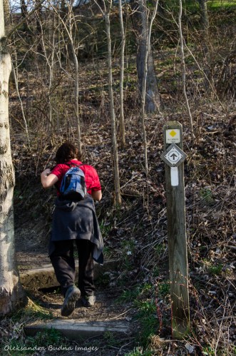 hiking at Dundas Valley Conservation Area