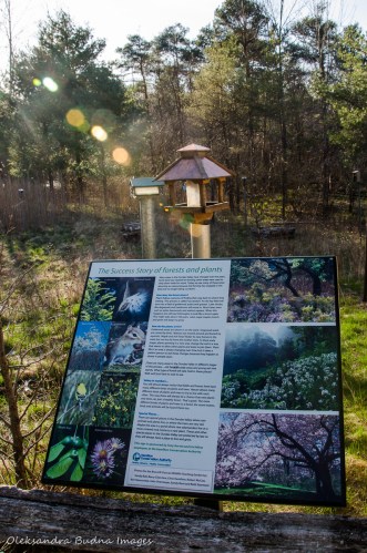 teaching garden at views from McCormack Trail at Dundas Valley Conservation Area