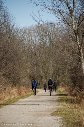 Hamilton to Brantford trail at Dundas Valley Conservation Area