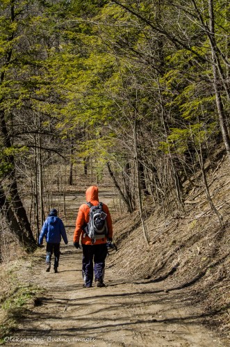 hiking the Spring Creek Trail at Dundas Valley Conservation Area