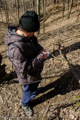 geocaching at Dundas Valley Conservation Area