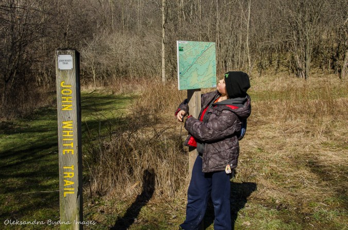 hiking at Dundas Valley Conservation Area