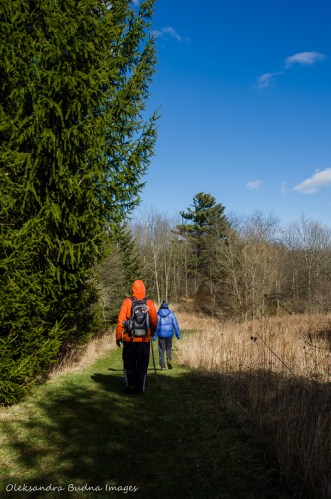 John White Trail at Dundas Valley Conservation Area