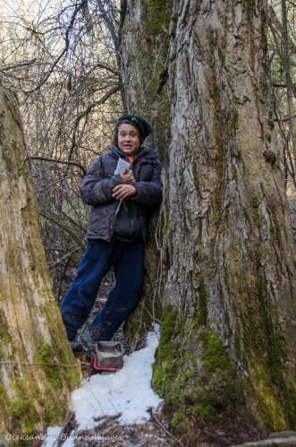 geocaching at Dundas Valley Conservation Area