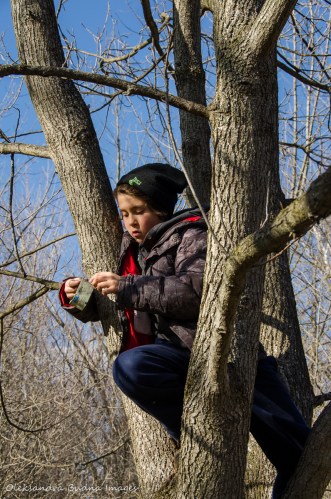 geocaching at Dundas Valley Conservation Area