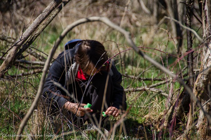 geocaching at Dundas Valley Conservation Area