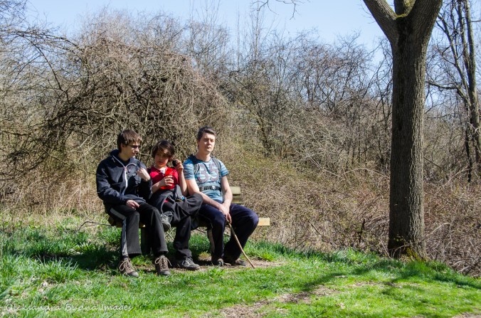 taking a break during a hike at Dundas Valley Conservation Area