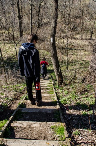 hiking at Dundas Valley Conservation Area
