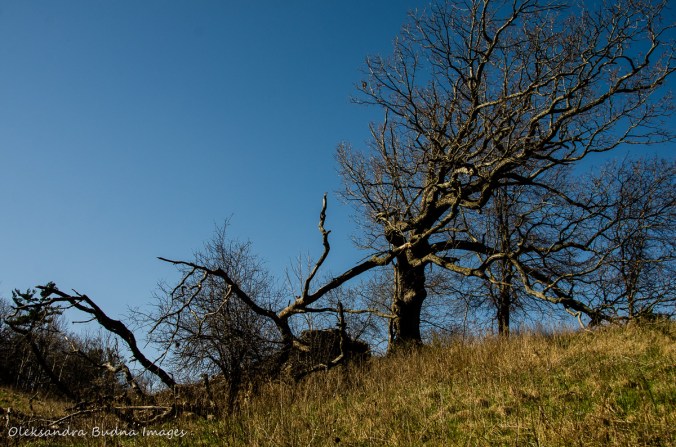 Dundas Valley Conservation Area