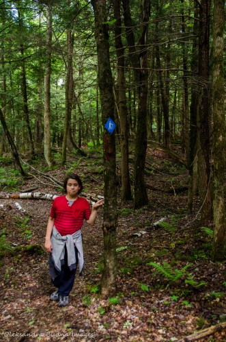 hiking the Lakeshore trail at Silent Lake Provincial Park 