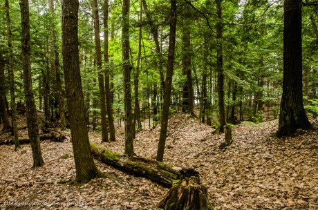 Silent Lake Provincial Park 