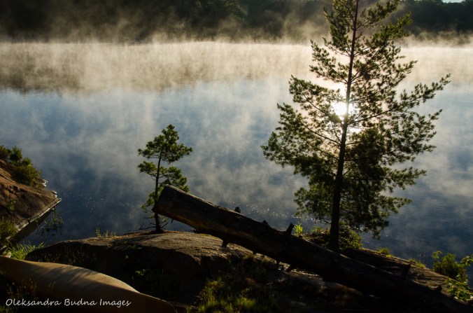 misty morning on Terry Lake in Killarney