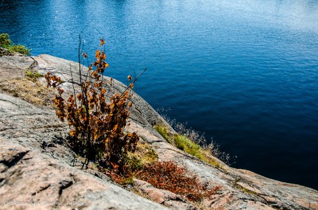 view from site 56 on Carlyle/Terry in Killarney