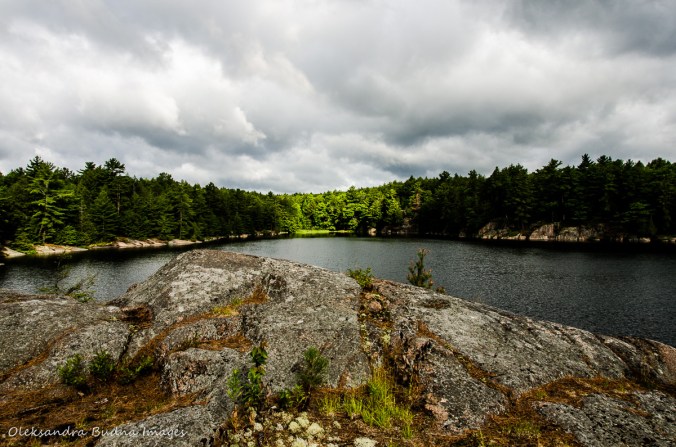 view from site 56 on Carlyle/Terry in Killarney